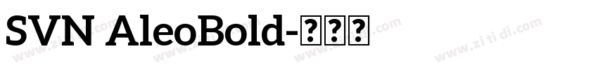 SVN AleoBold字体转换